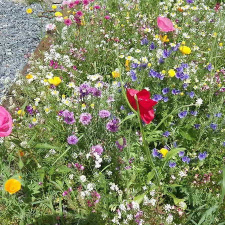 Apartment Chalet Oryx Chamonix