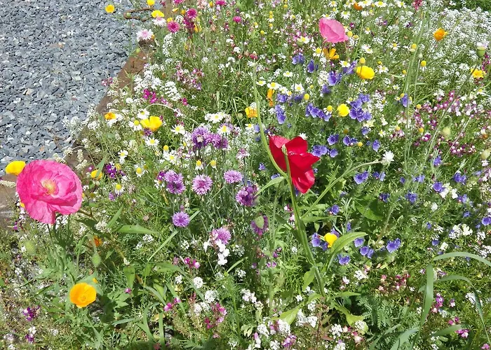 Appartement Oryx Chamonix